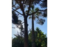 Rynek wtórny - Villa - Marbella - Guadalmina Baja