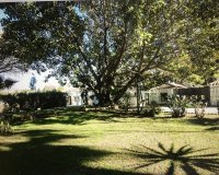 Rynek wtórny - Villa - Marbella - Guadalmina Baja