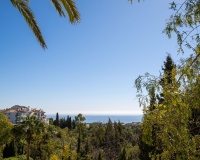 Rynek wtórny - Villa - Marbella - Hacienda Las Chapas