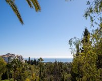 Rynek wtórny - Villa - Marbella - Hacienda Las Chapas