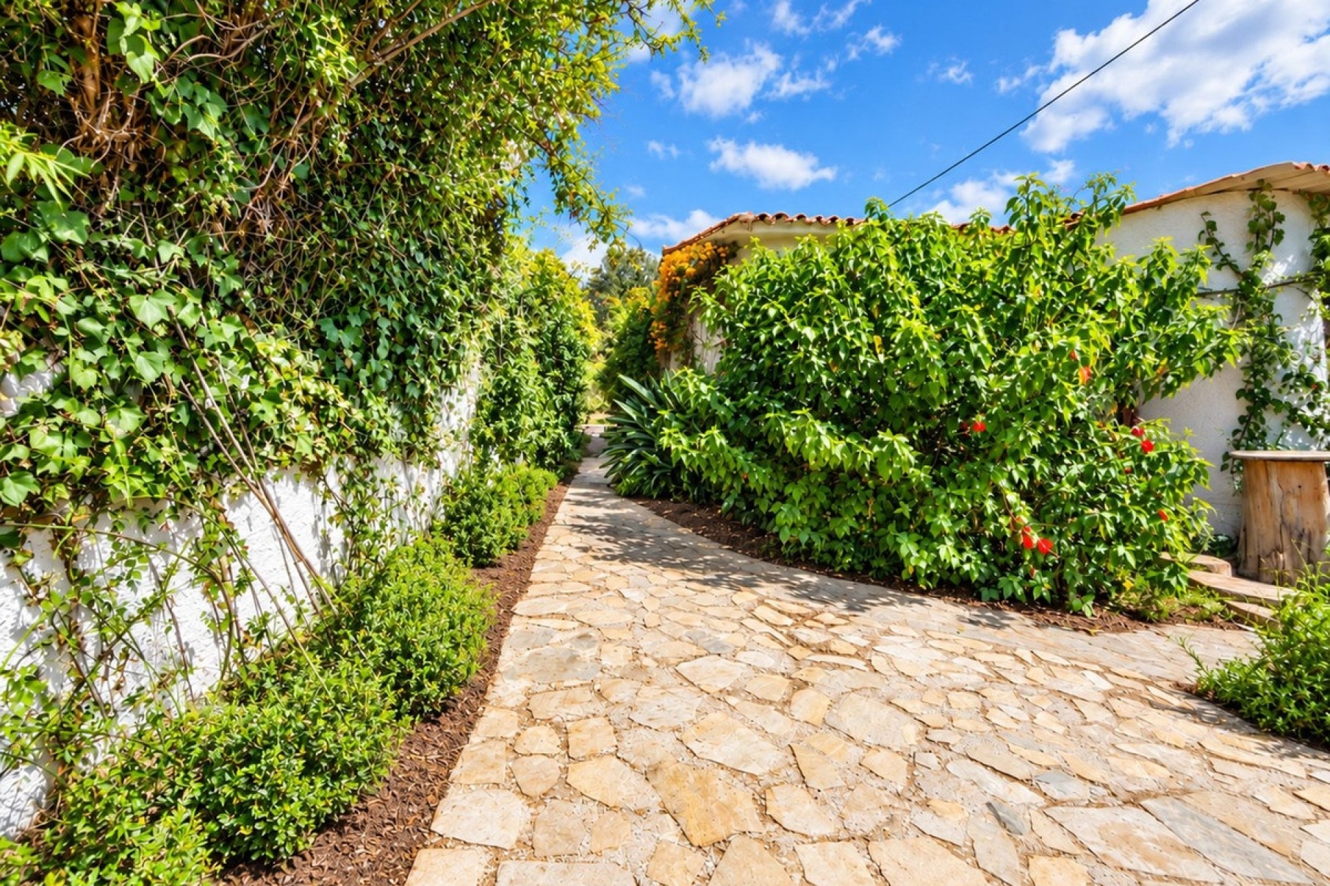 Rynek wtórny - Villa - Marbella - Marbella Centro