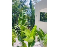 Rynek wtórny - Villa - Marbella - Nueva Andalucía