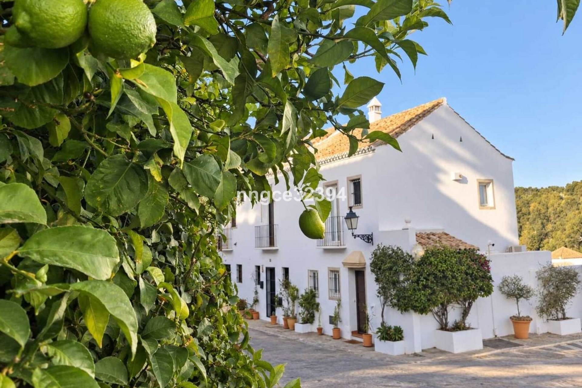 Rynek wtórny - Villa - Marbella - Nueva Andalucía
