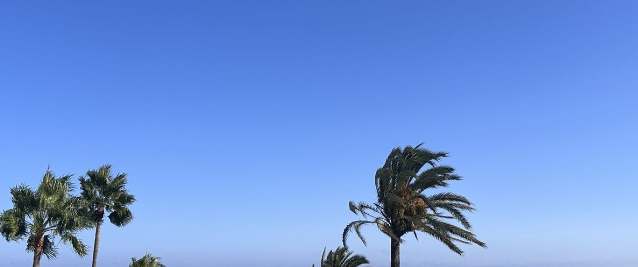 Rynek wtórny - Villa - Marbella - Puerto Banús