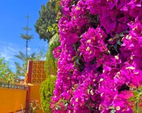 Rynek wtórny - Villa - Marbella - Reserva de Marbella