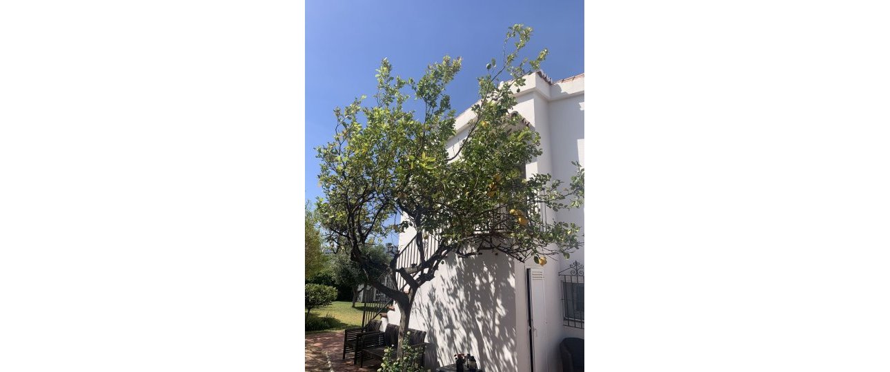 Rynek wtórny - Villa - Marbella - San Pedro de Alcántara