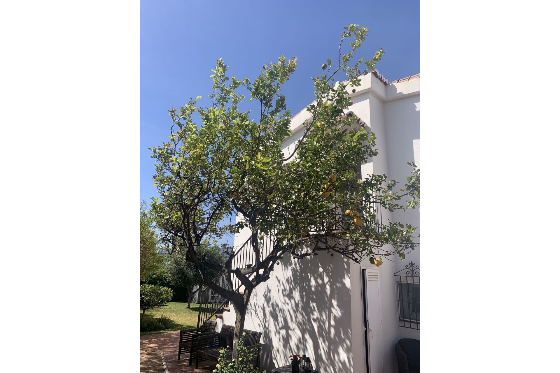 Rynek wtórny - Villa - Marbella - San Pedro de Alcántara