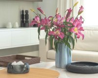 Rynek wtórny - Villa - Marbella - San Pedro de Alcántara