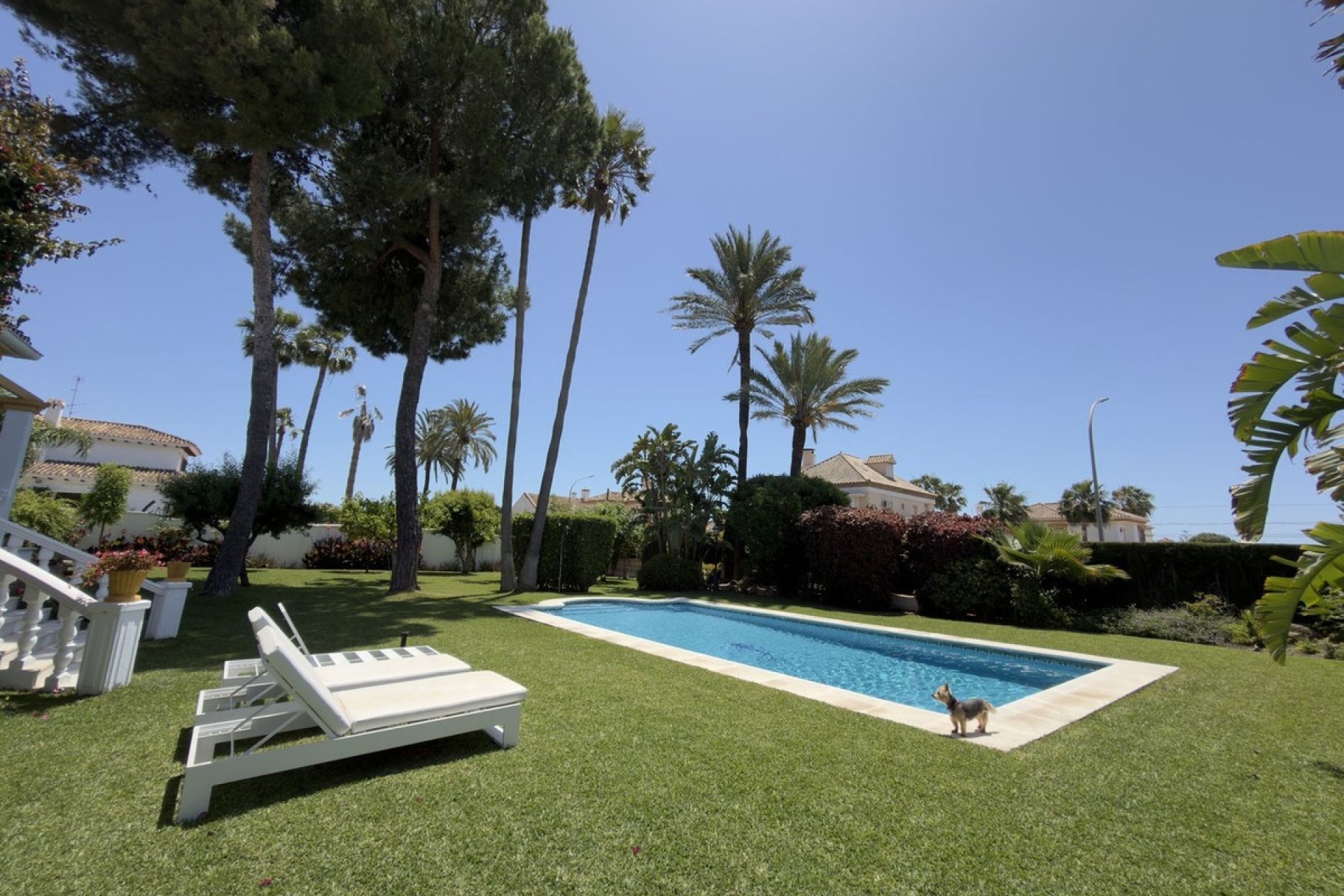 Rynek wtórny - Villa - Marbella - San Pedro de Alcántara