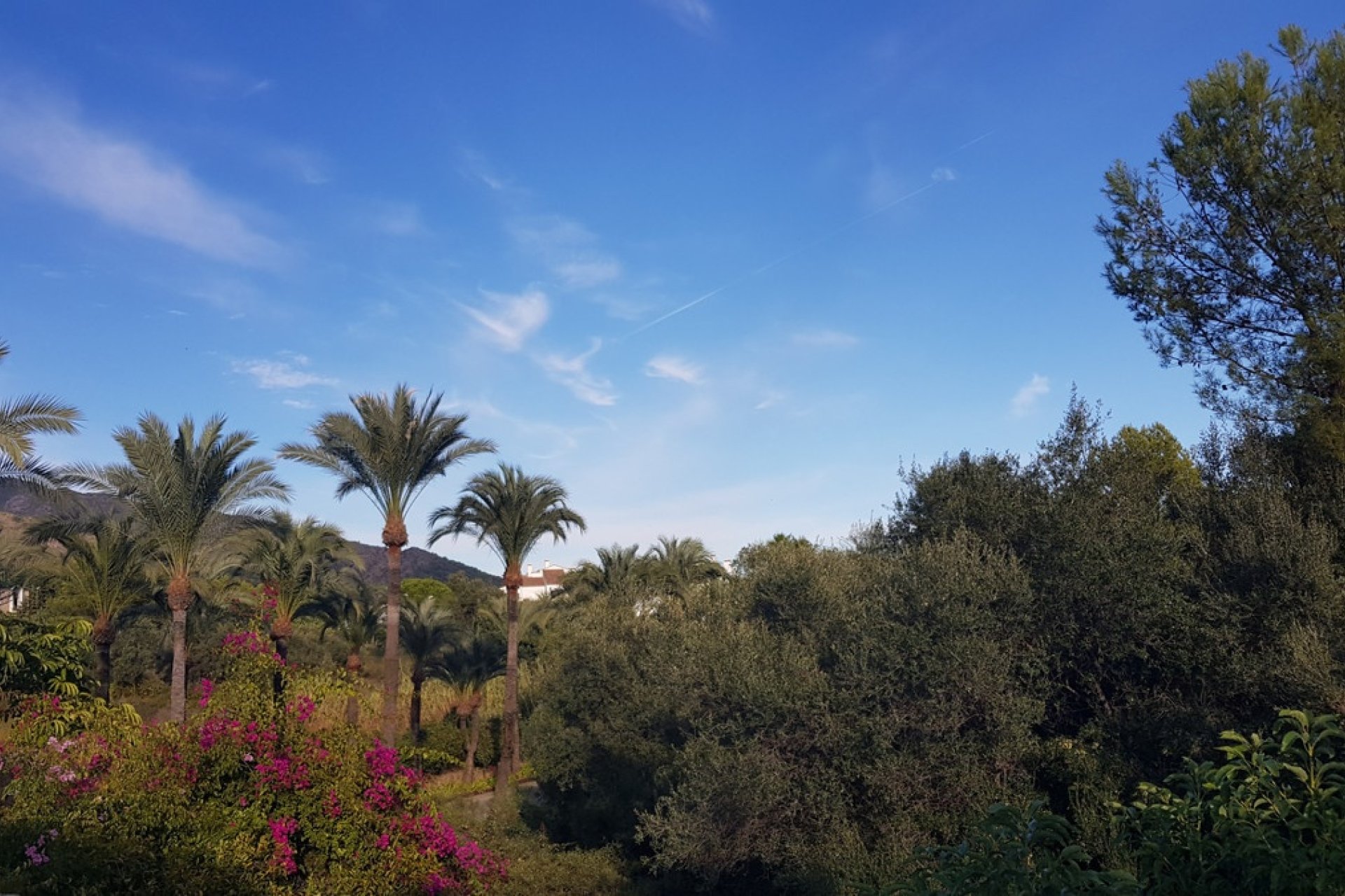 Rynek wtórny - Villa - Marbella - Sierra Blanca