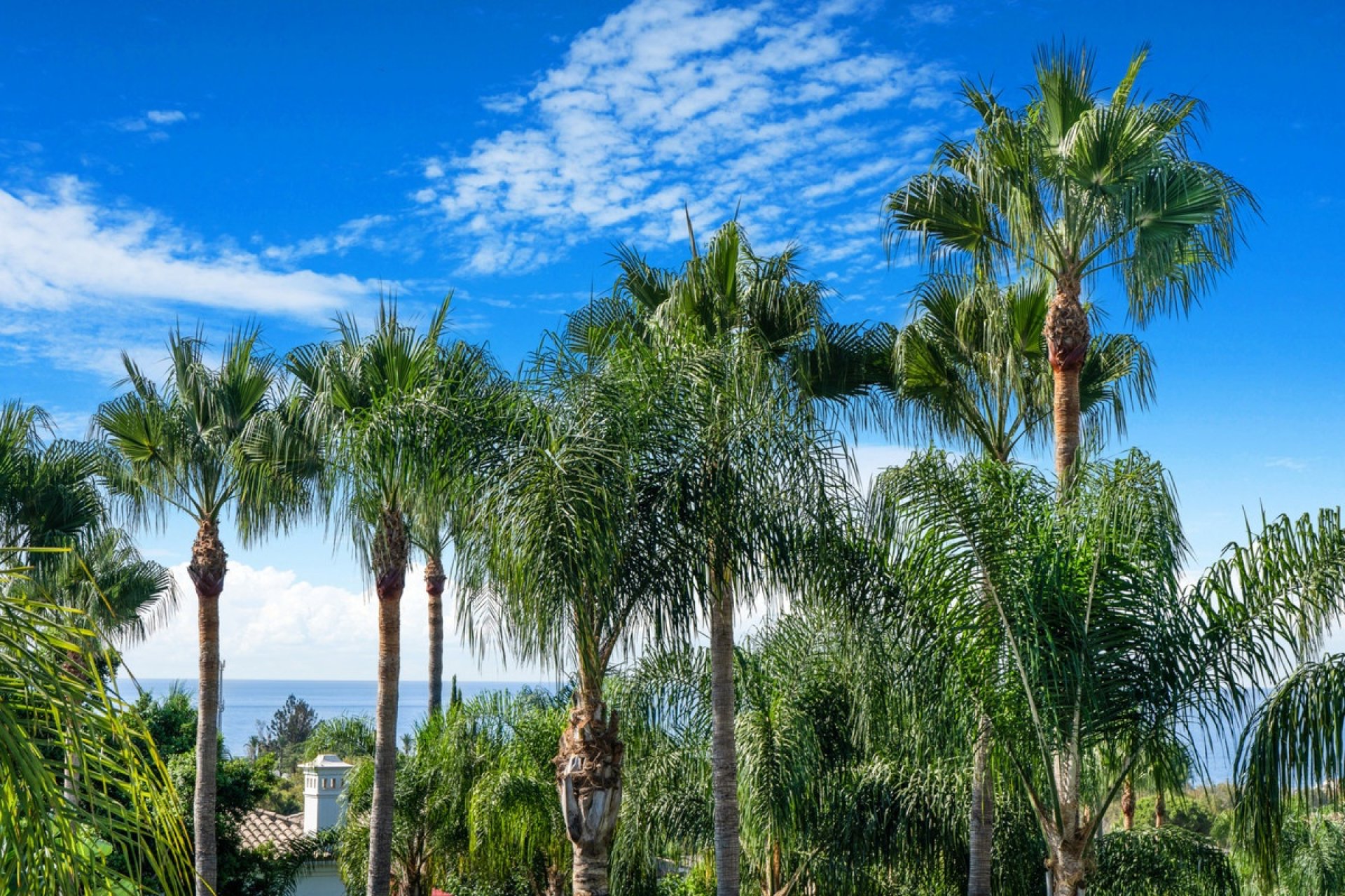 Rynek wtórny - Villa - Marbella - The Golden Mile