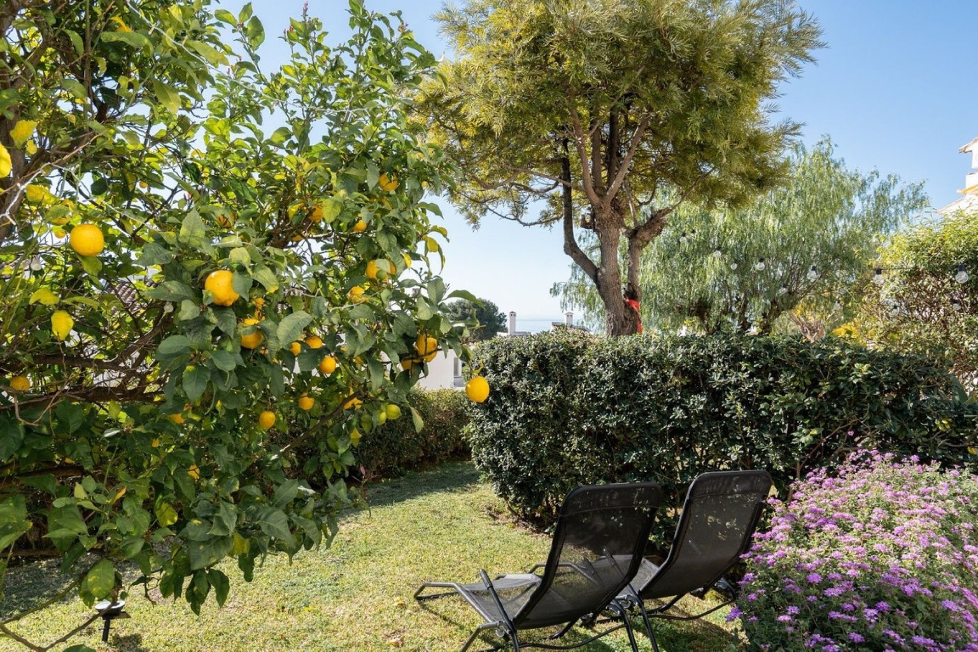 Rynek wtórny - Villa - Mijas - Calahonda