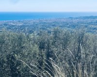 Rynek wtórny - Villa - Mijas - Valtocado