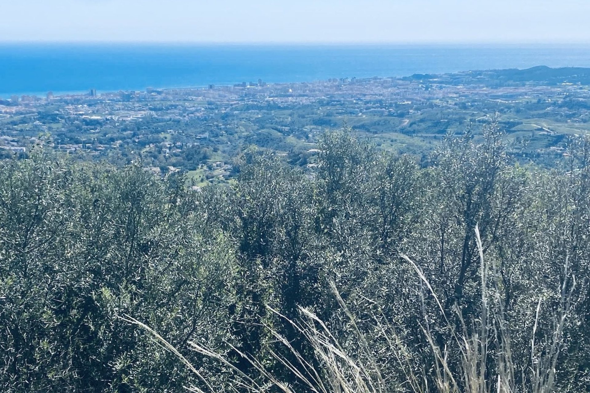 Rynek wtórny - Villa - Mijas - Valtocado