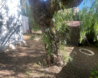 Rynek wtórny - Villa - Orihuela - Cabo Roig