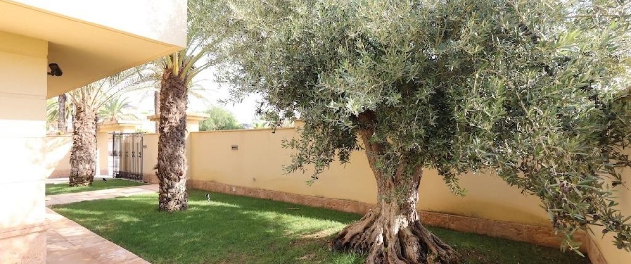 Rynek wtórny - Villa - Orihuela - Cabo Roig