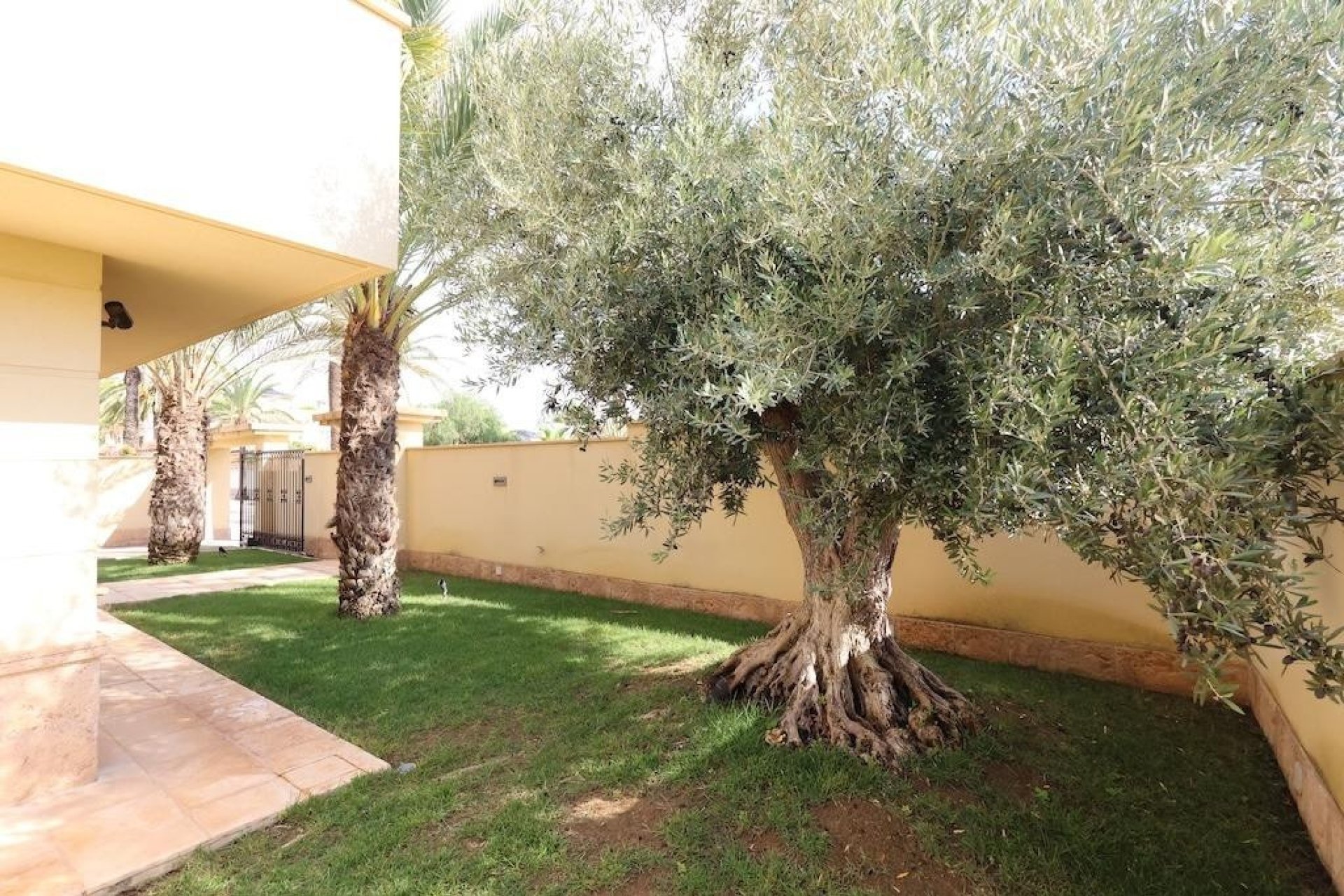 Rynek wtórny - Villa - Orihuela - Cabo Roig
