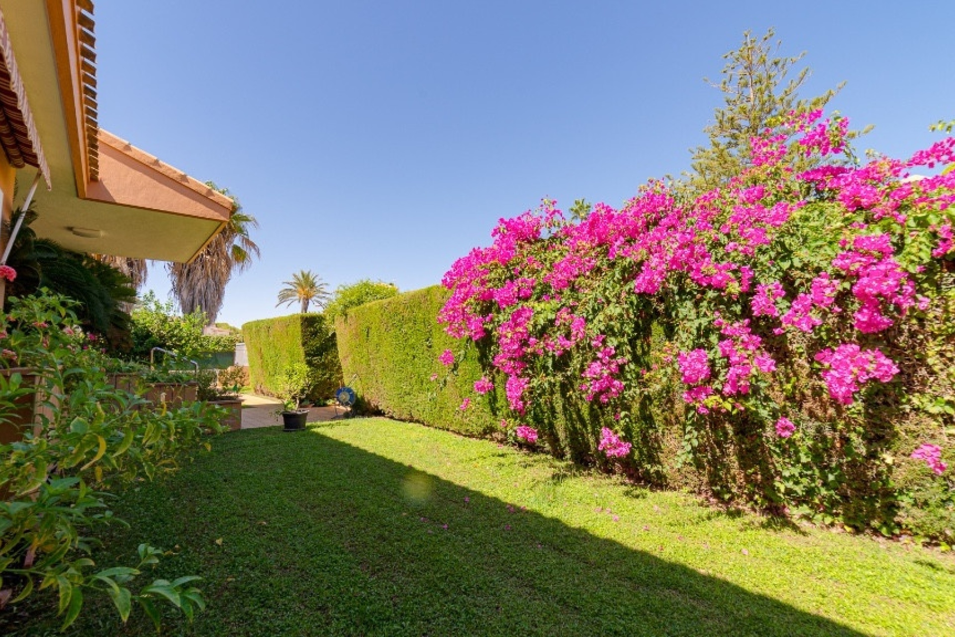 Rynek wtórny - Villa - Orihuela - Campoamor