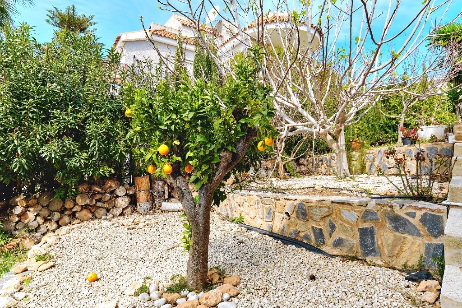 Rynek wtórny - Villa - Orihuela - Dehesa de Campoamor
