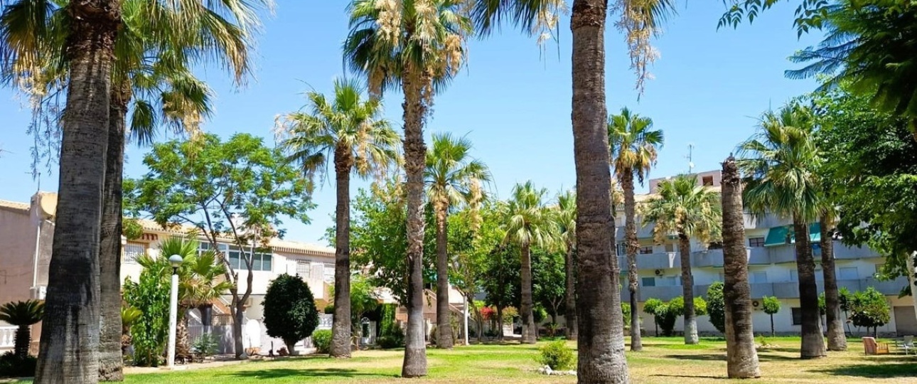 Rynek wtórny - Villa - Orihuela - La Regia