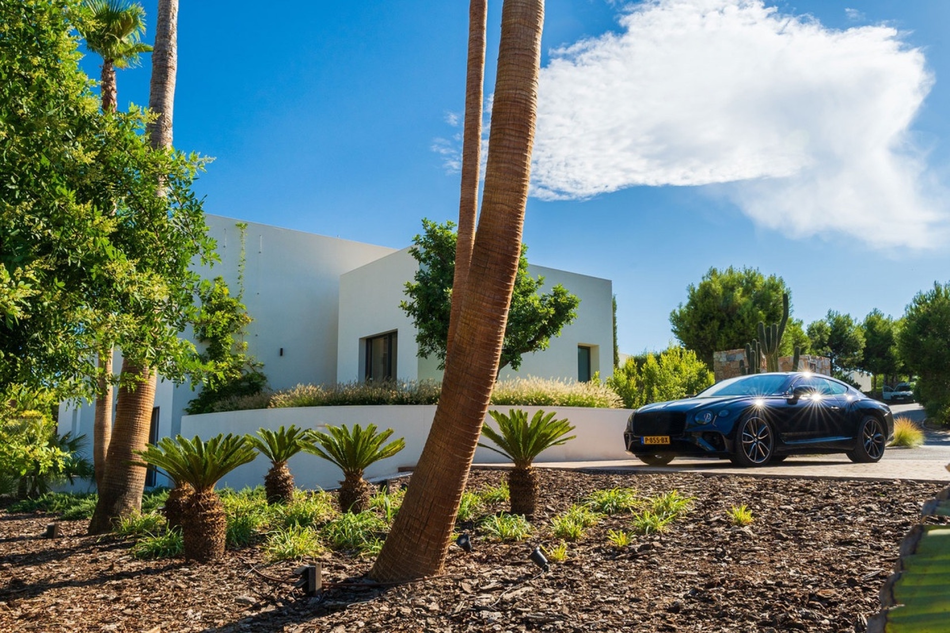 Rynek wtórny - Villa - Orihuela - Las Colinas Golf