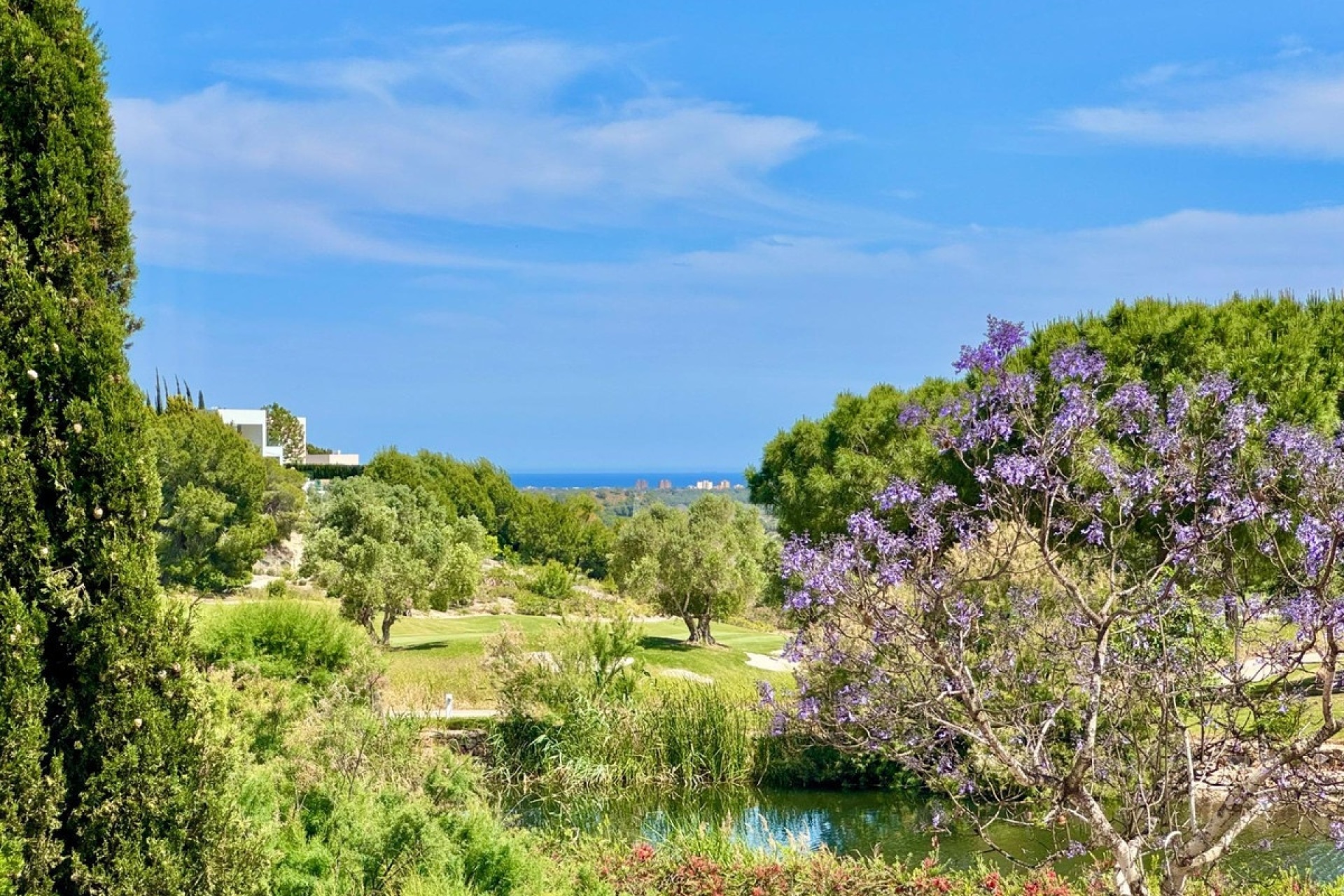 Rynek wtórny - Villa - Orihuela - Las Colinas Golf