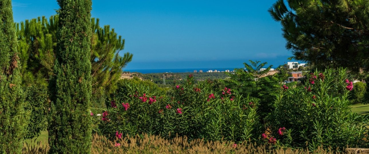 Rynek wtórny - Villa - Orihuela - Las Colinas Golf