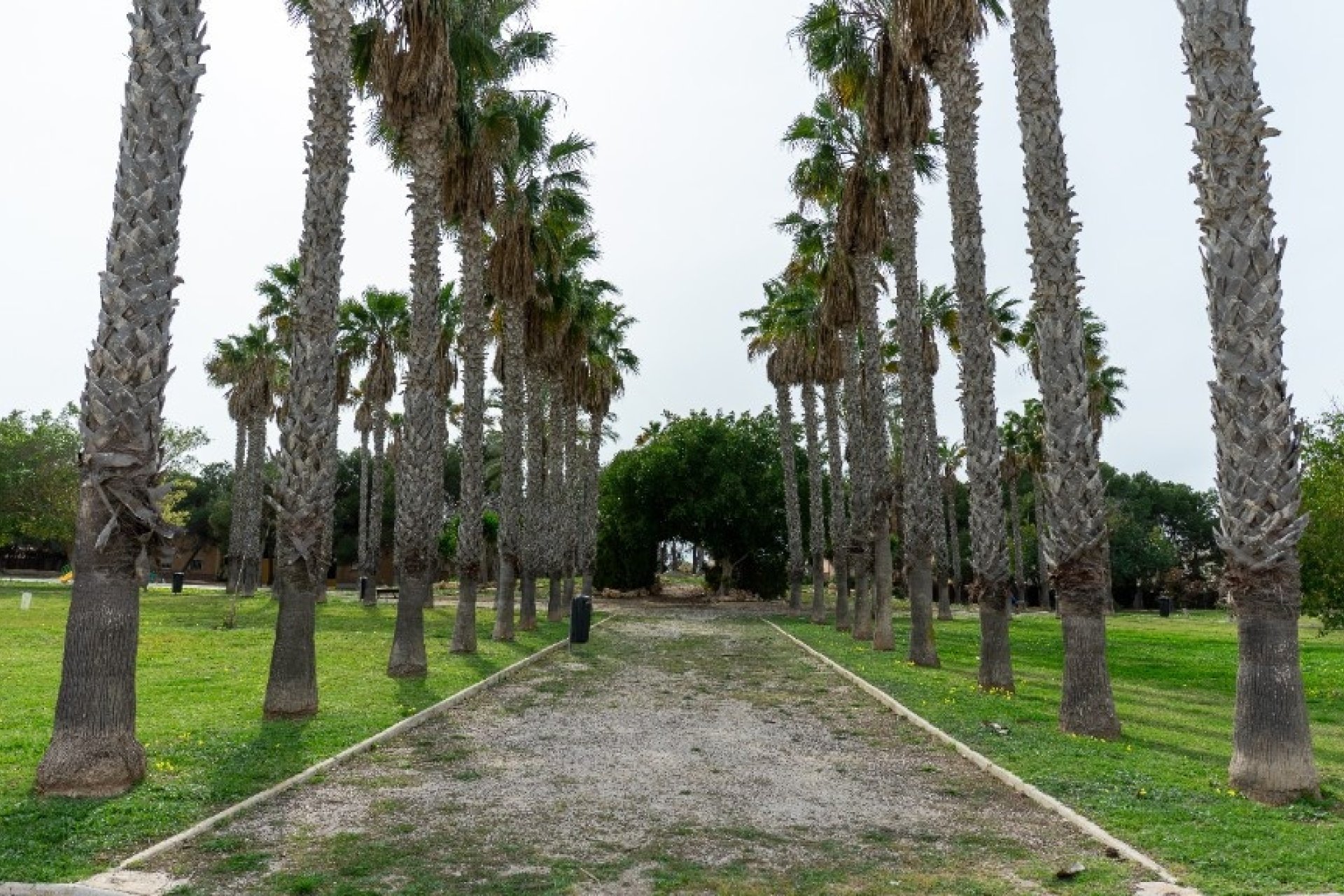 Rynek wtórny - Villa - Orihuela - Los Altos