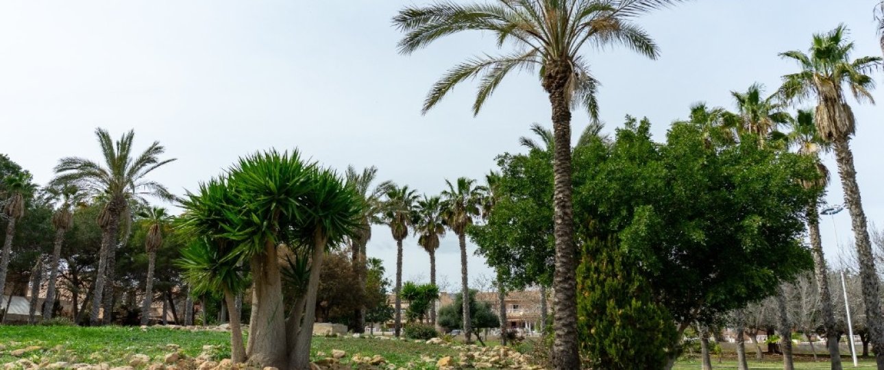 Rynek wtórny - Villa - Orihuela - Los Altos