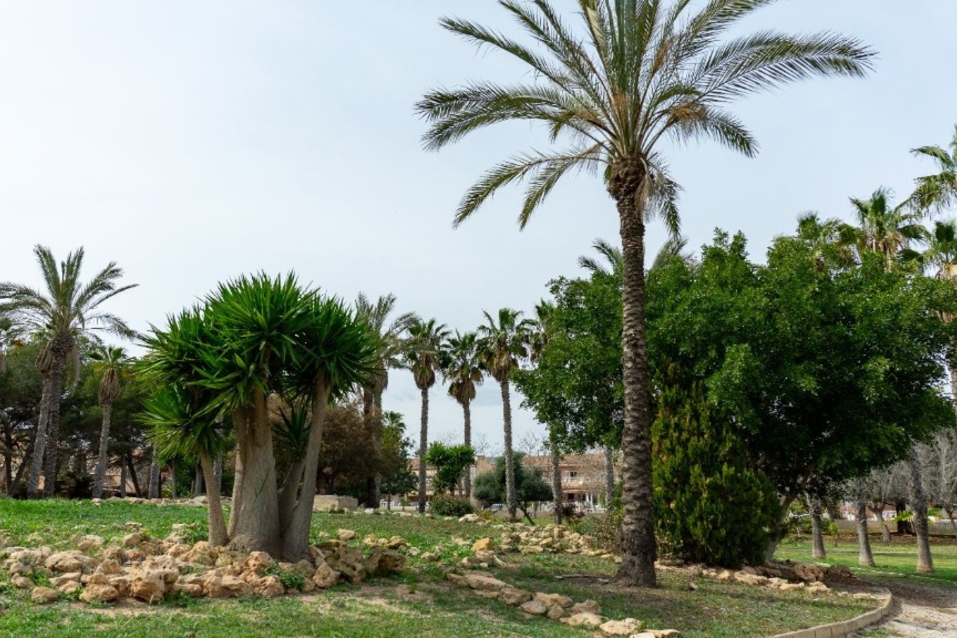 Rynek wtórny - Villa - Orihuela - Los Altos