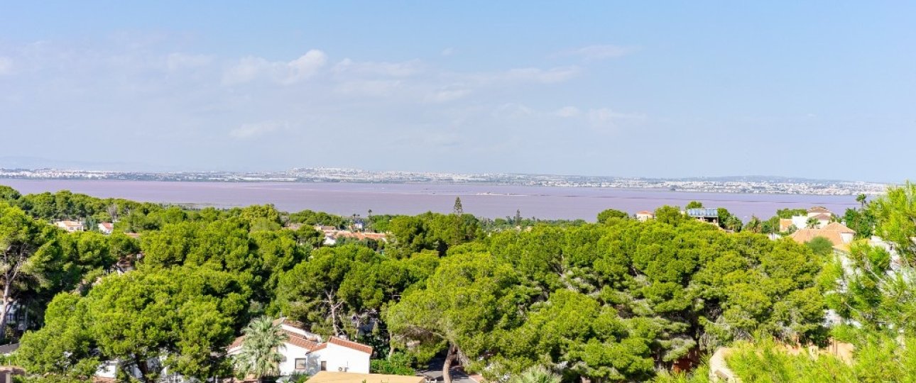 Rynek wtórny - Villa - Orihuela - Los Balcones