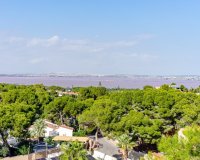 Rynek wtórny - Villa - Orihuela - Los Balcones