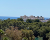 Rynek wtórny - Villa - Orihuela - Mil Palmeras