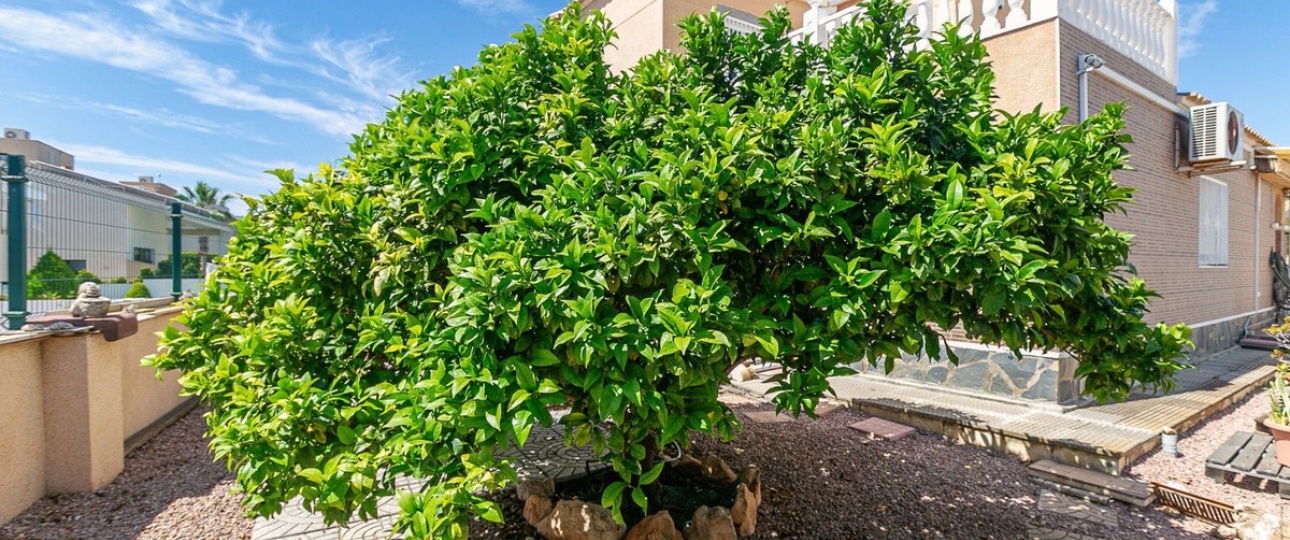 Rynek wtórny - Villa - Orihuela - Orihuela Costa