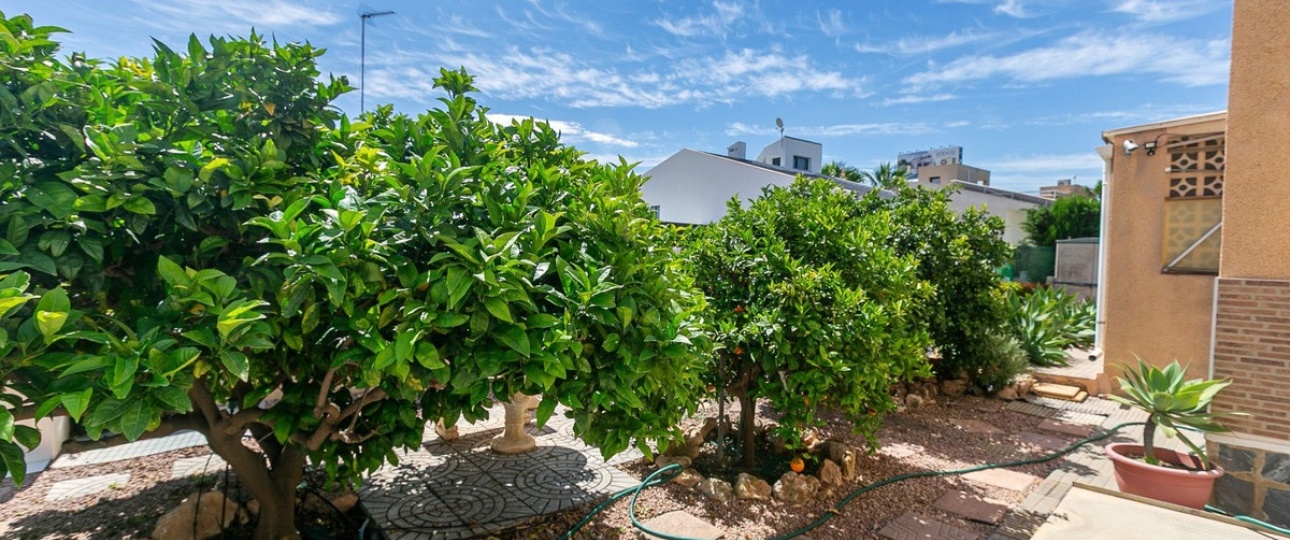 Rynek wtórny - Villa - Orihuela - Orihuela Costa