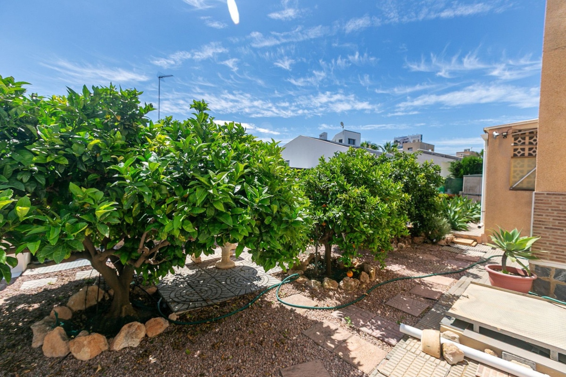 Rynek wtórny - Villa - Orihuela - Orihuela Costa
