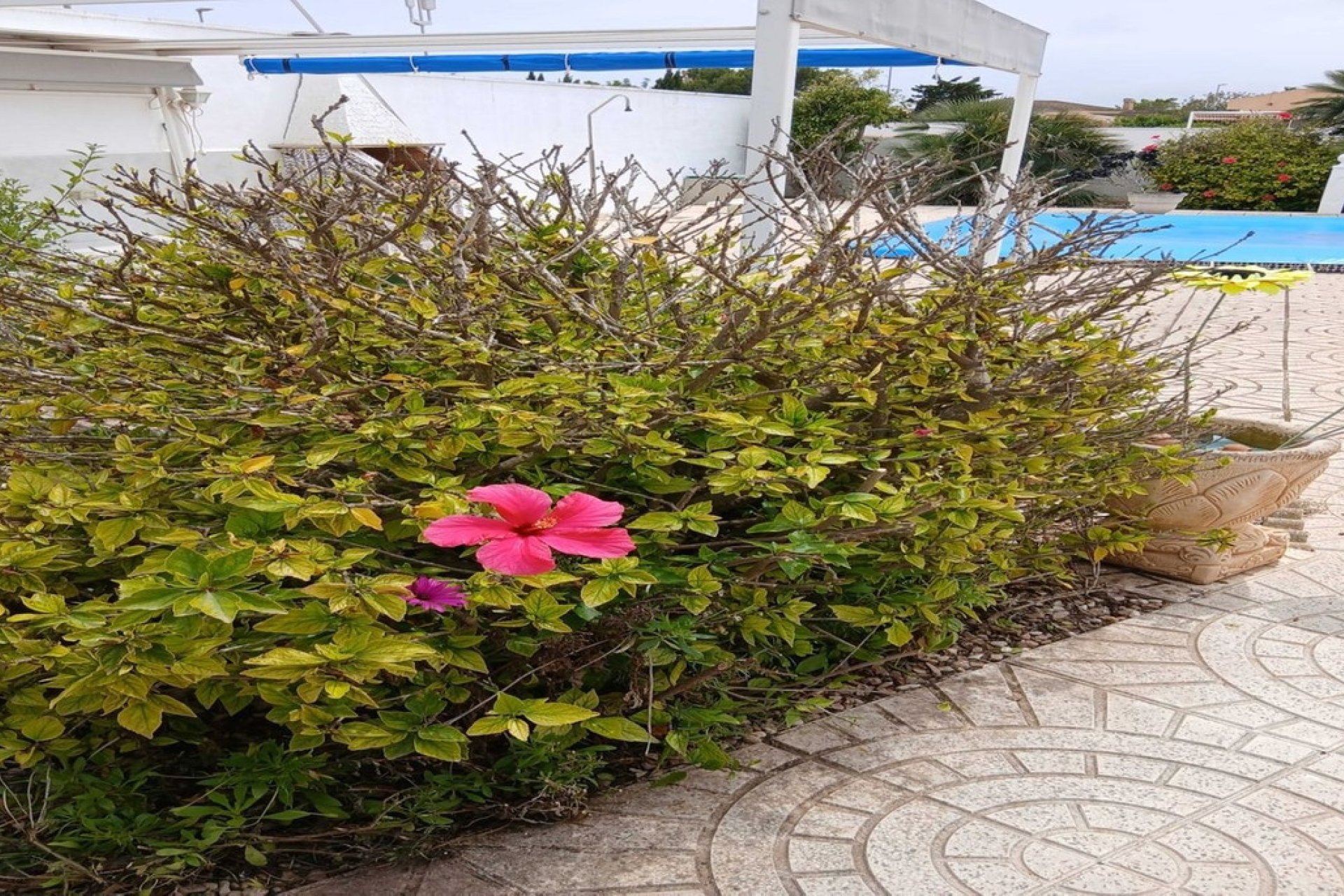 Rynek wtórny - Villa - San Fulgencio - La Marina