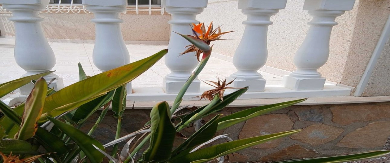 Rynek wtórny - Villa - San Fulgencio - San Fulgencio Centro