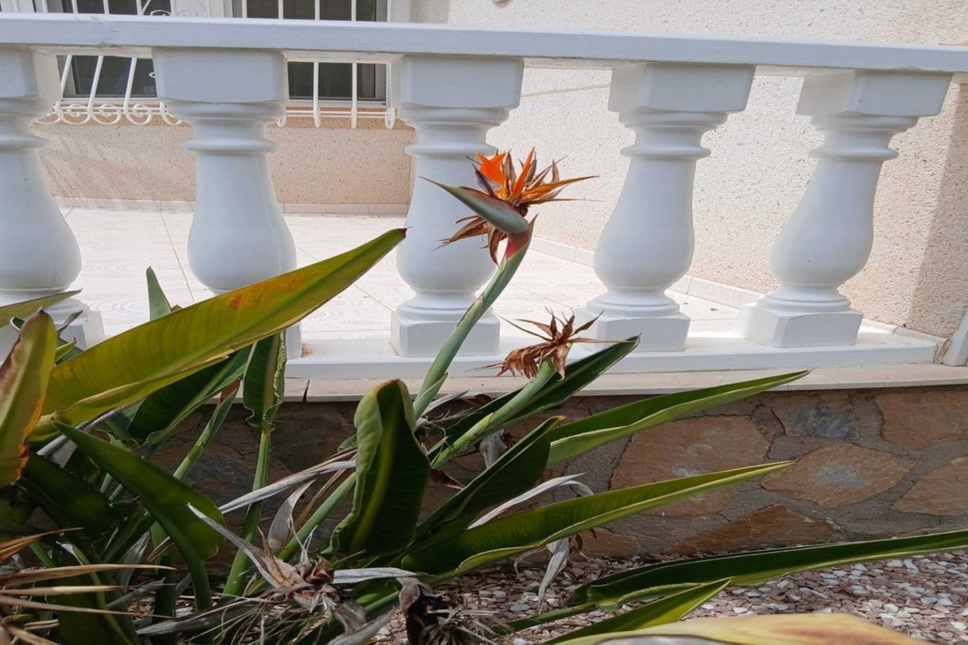 Rynek wtórny - Villa - San Fulgencio - San Fulgencio Centro