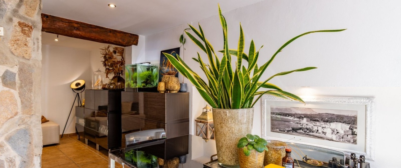 Rynek wtórny - Villa - Teulada - Moraira