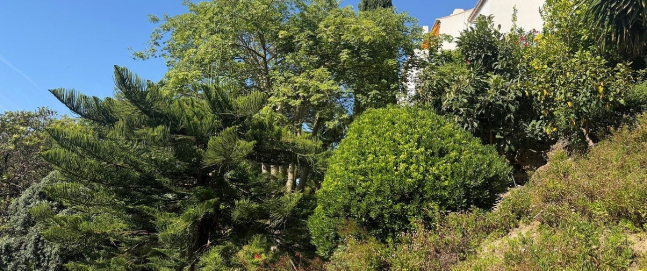 Wiederverkauf - apartment - Benahavís - Benahavís Centro