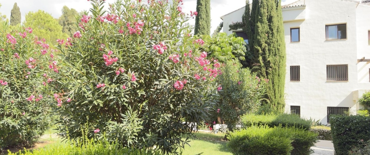 Wiederverkauf - apartment - Benahavís - La Quinta