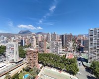 Wiederverkauf - apartment - Benidorm - Benidorm Centro