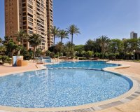 Wiederverkauf - apartment - Benidorm - Benidorm Centro