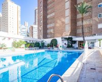 Wiederverkauf - apartment - Benidorm - Benidorm Centro