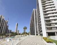 Wiederverkauf - apartment - Benidorm - Benidorm Centro