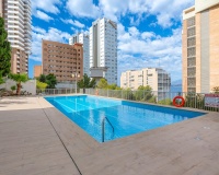 Wiederverkauf - apartment - Benidorm - Benidorm Centro