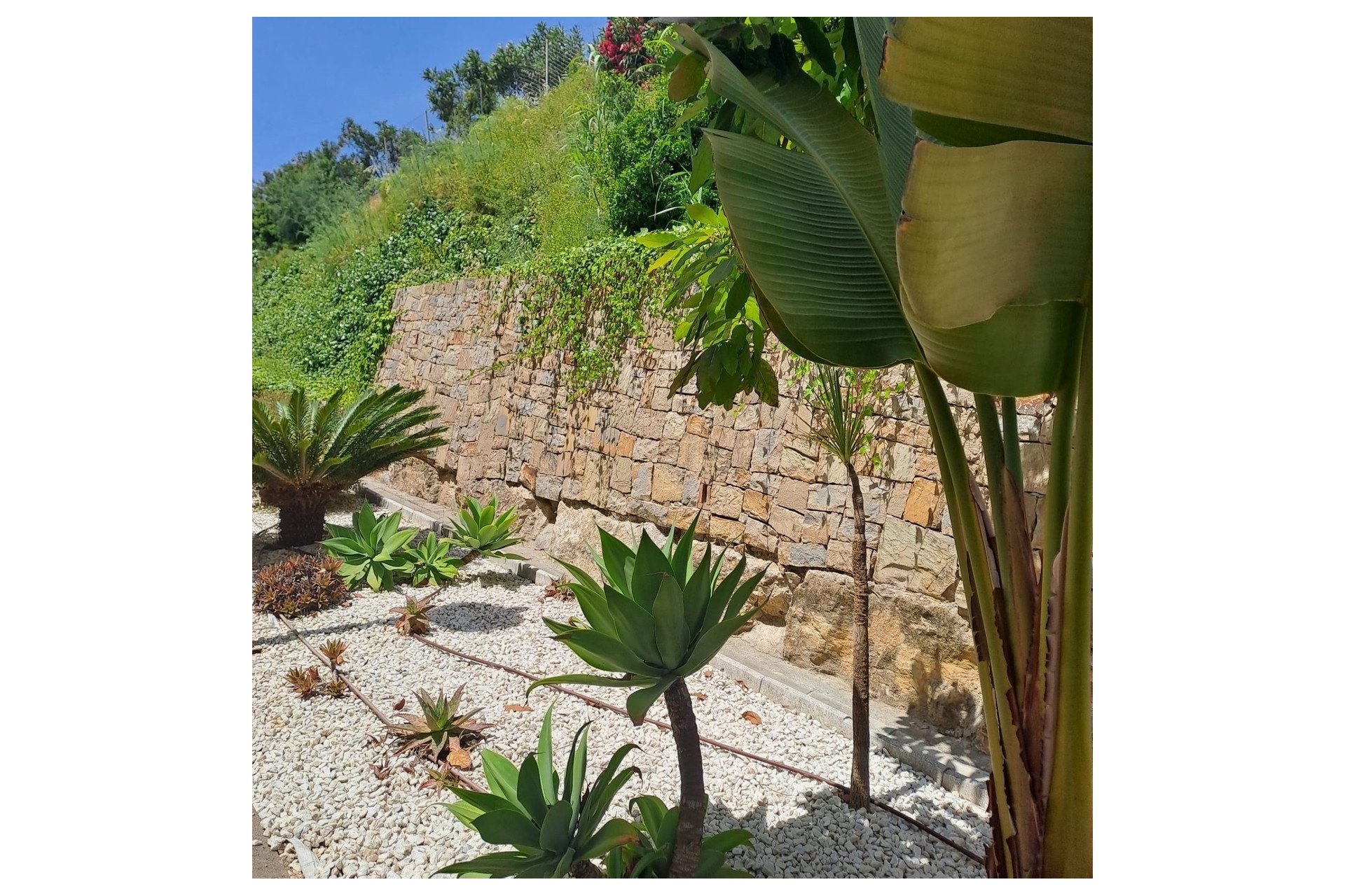 Wiederverkauf - apartment - Casares - Casares Playa