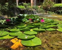 Wiederverkauf - apartment - Estepona - Atalaya