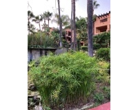 Wiederverkauf - apartment - Estepona - Atalaya